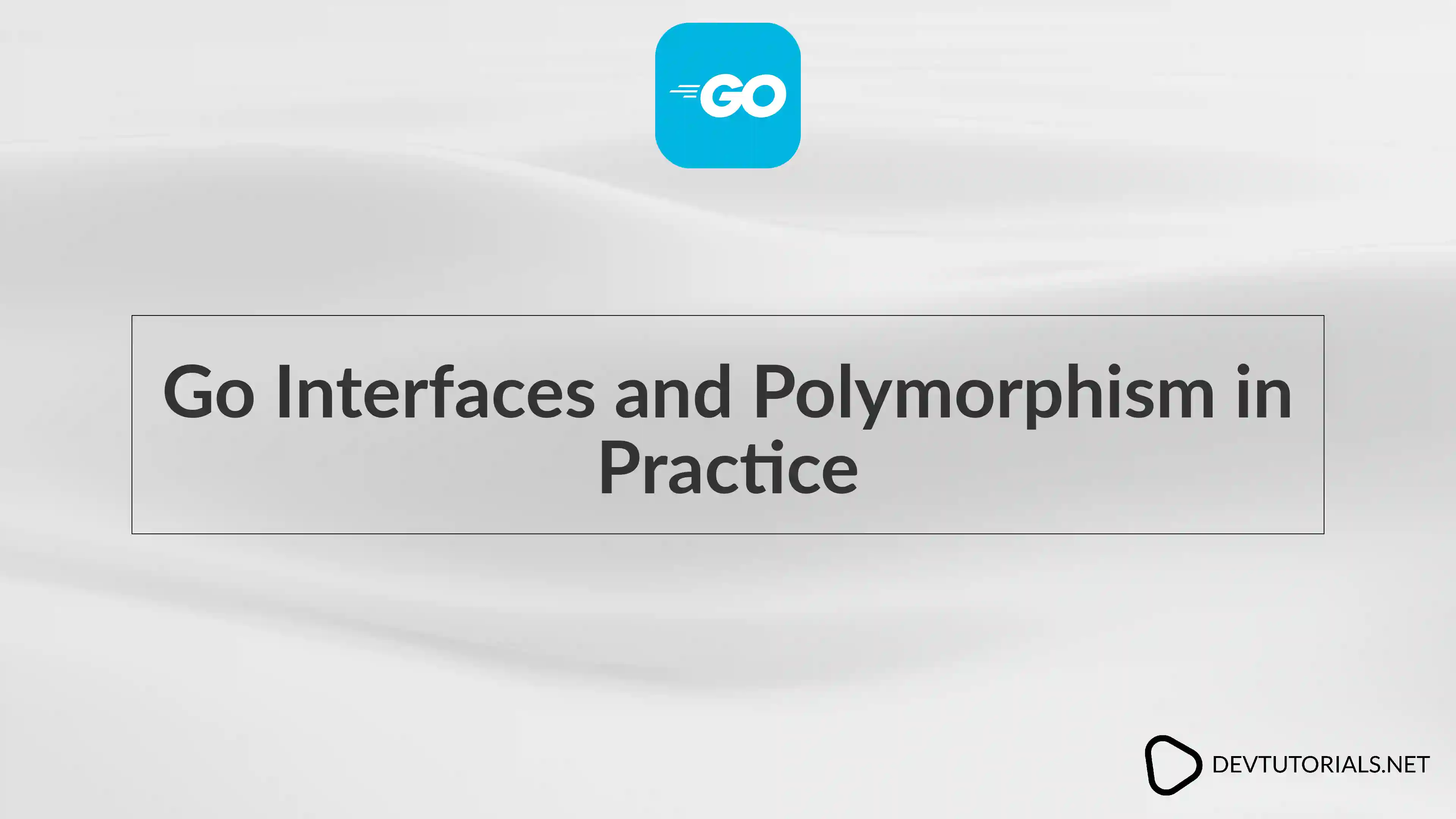 Go Interfaces and Polymorphism in Practice
